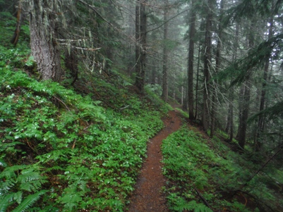 goat mountain trail