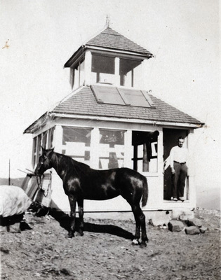 Cupola