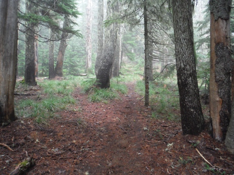 goat peak trail