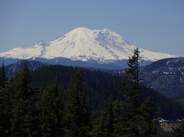 rainier