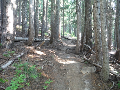 goat ridge trail