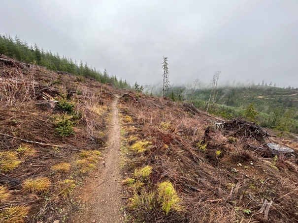 Tin Mine Trail 