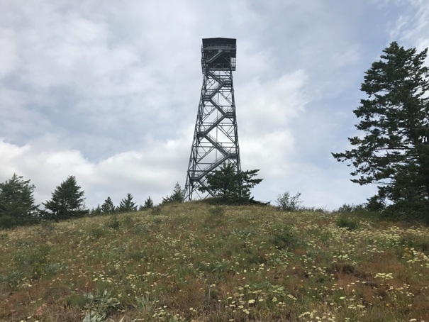 gold mountain lookout