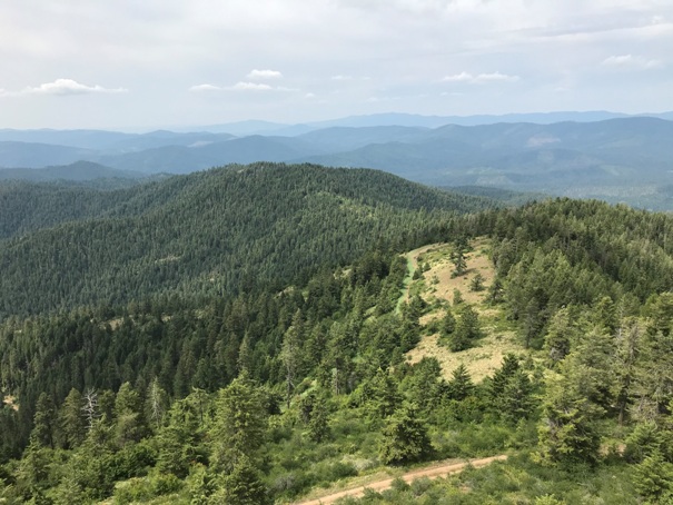 gold mountain