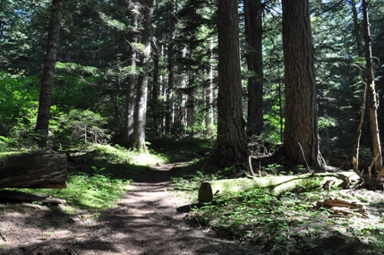 grassy knoll trail