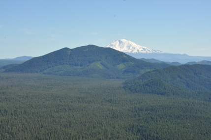 Little Huckleberry Mountain 