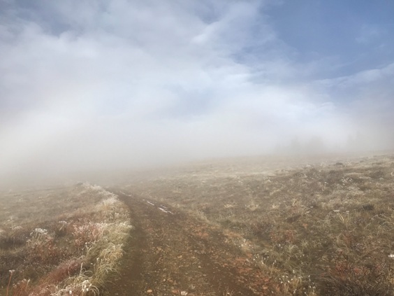 Fog rainbow