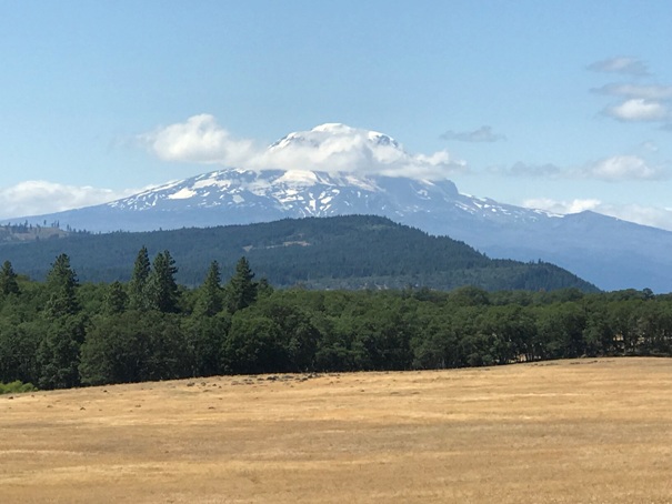 Grayback Mountain Road 