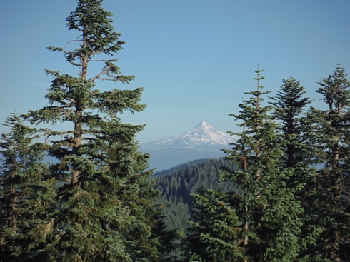 Mount Hood