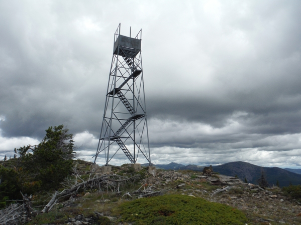 grizzly mountain lookout