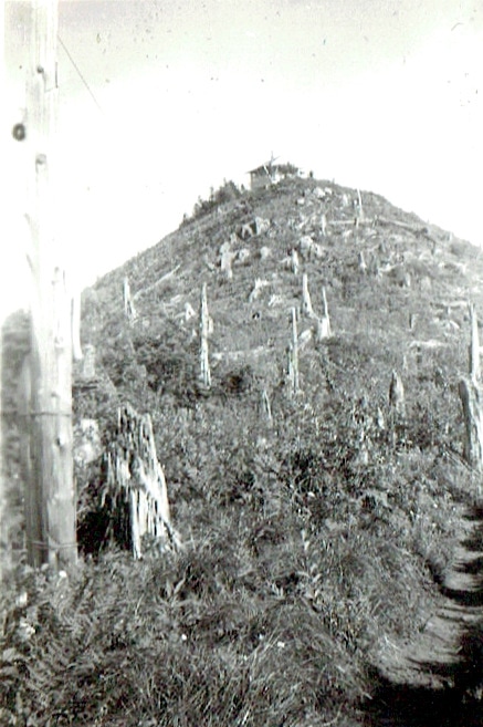 gumboot mountain lookout