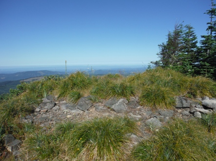 gumboot lookout