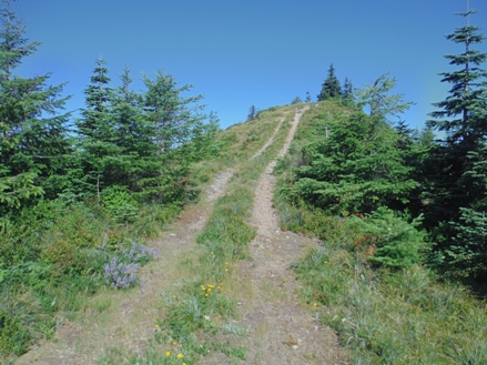 gumboot mountain 