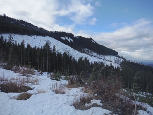 ten four mountain
