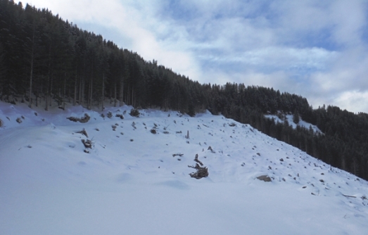 ten four mountain