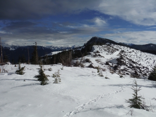 ten four mountain