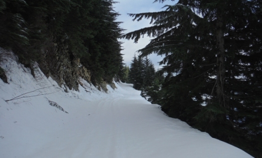 ten four mountain