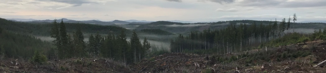 willapa hills
