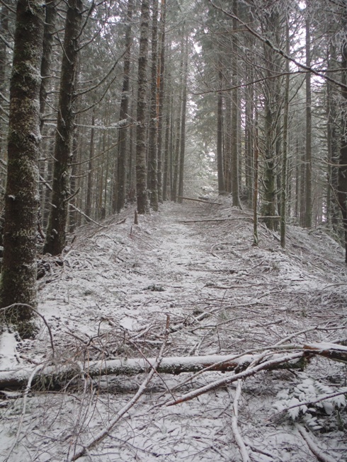 hull creek road