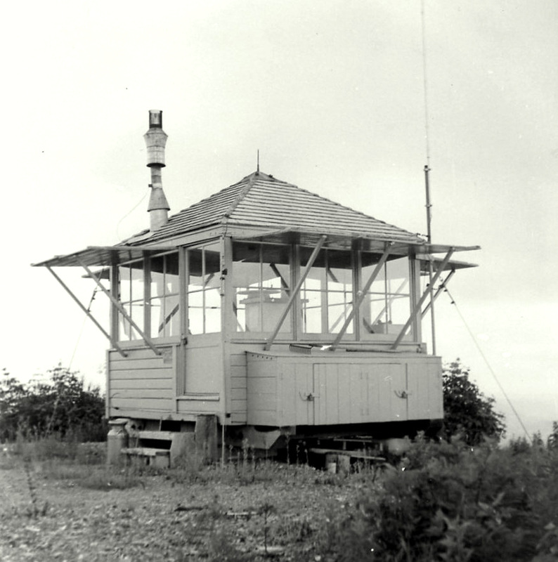 Humptulips Ridge Lookout 