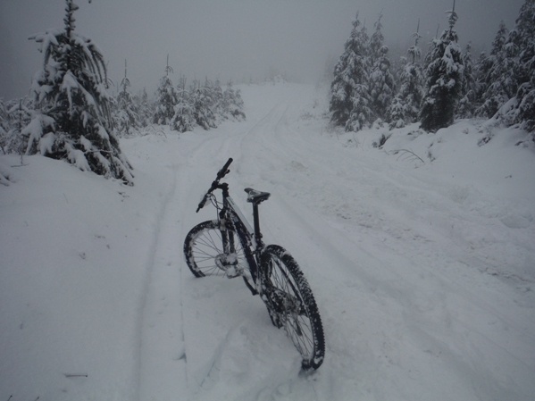 mountain biking