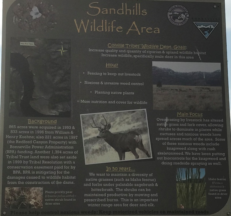 sandhills