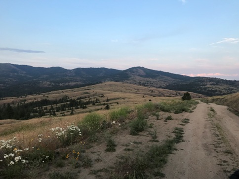 Buffalo Lake