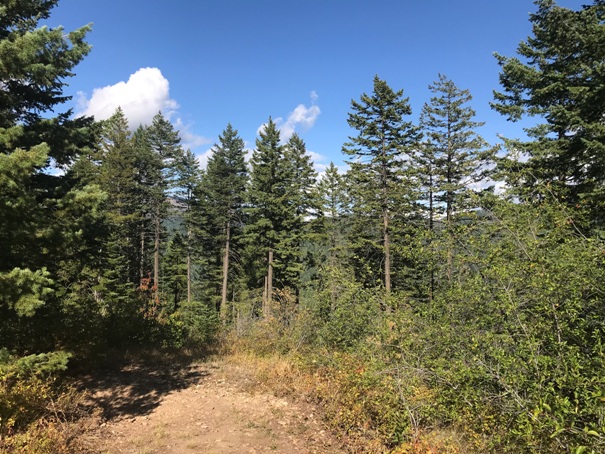 kings mountain