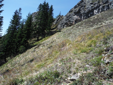 hiking kiona peak