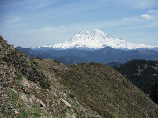 Rainier