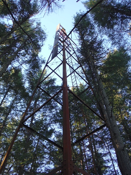 kitsap lookout