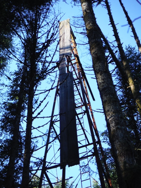 kitsap lookout