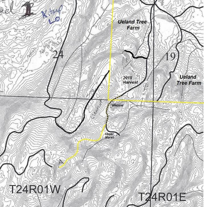 kitsap lidar map