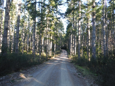 Ueland Tree Farm