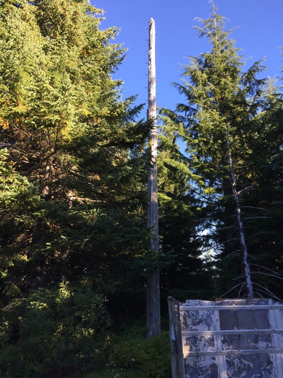Pole tower