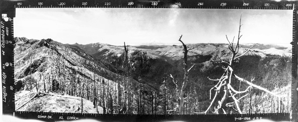 Langille Ridge     