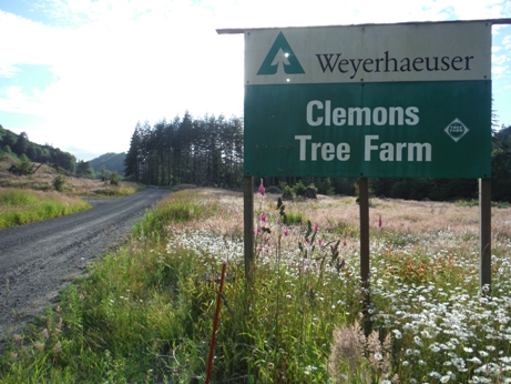 Clemons Tree Farm