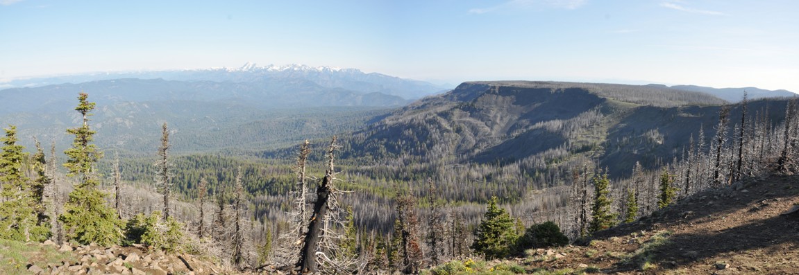 lion rock view