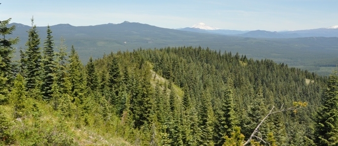 Little Huckleberry Mountain