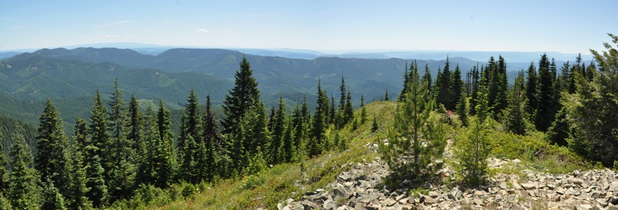 Little Huckleberry Mountain