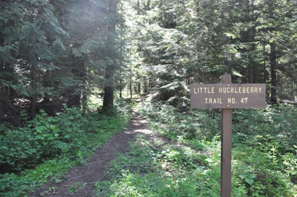 Little Huckleberry Mountain