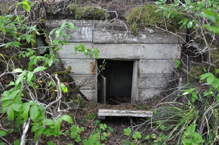 Root Cellar