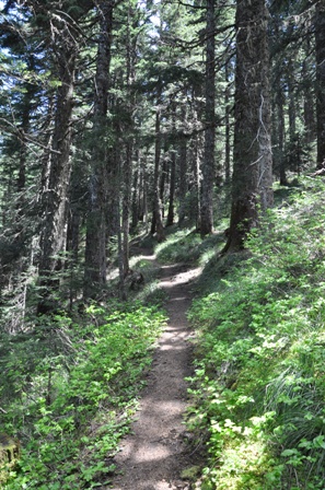 Little Huckleberry Trail