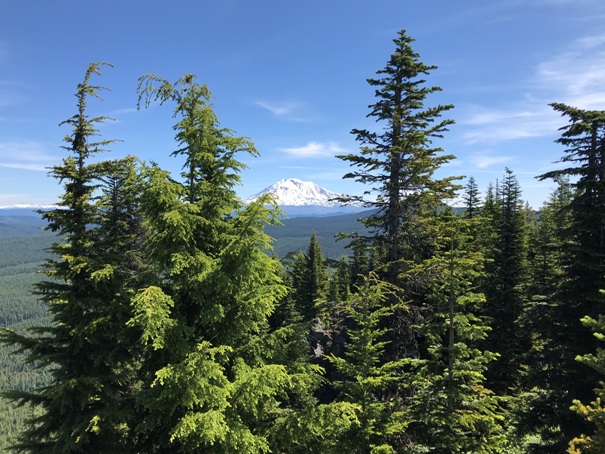 Mt. Adams