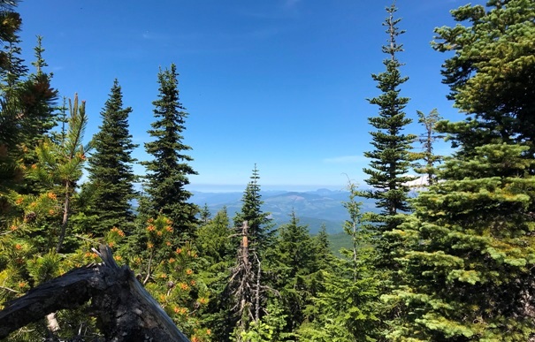 Lone Butte 