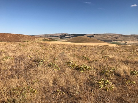 lorena butte view