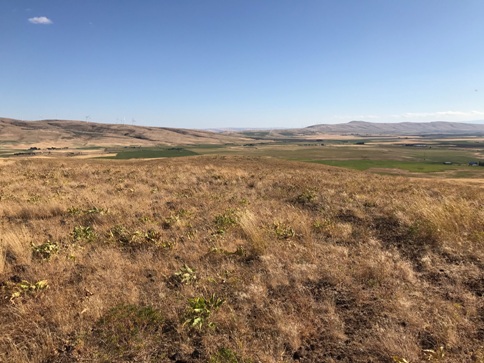 lorena butte view