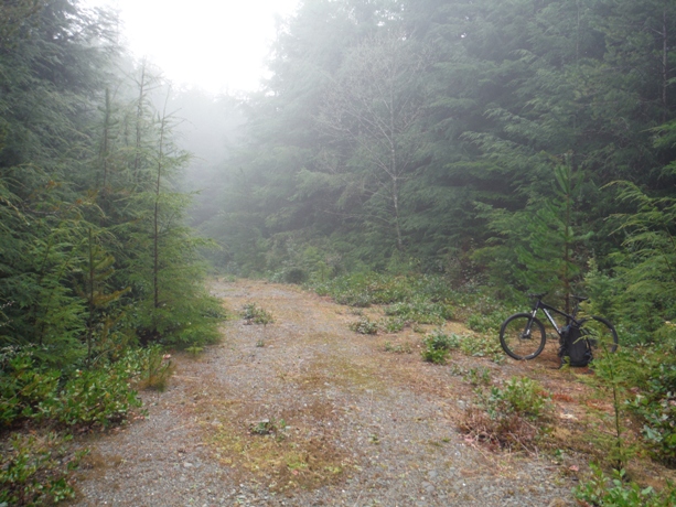 macafee site