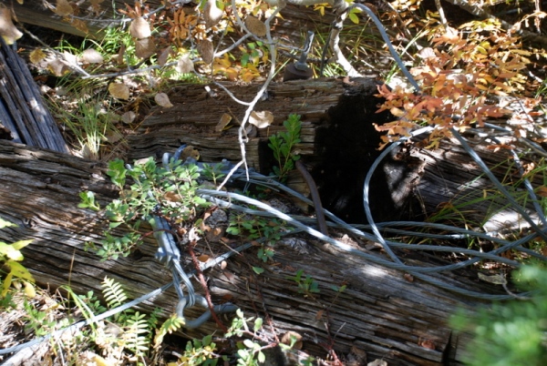 mccue fire lookout