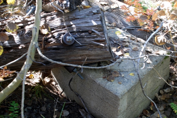 mccue fire lookout